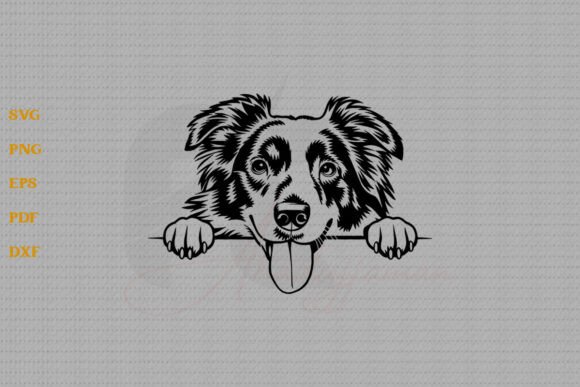Australian Shepherd Peeking Dog SVG Review