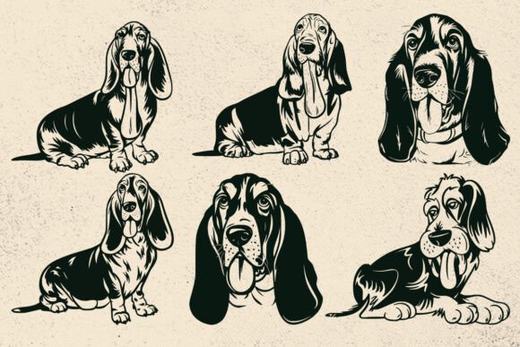 Basset Hound Svg for Embroidery: A Designer's Honest Review
