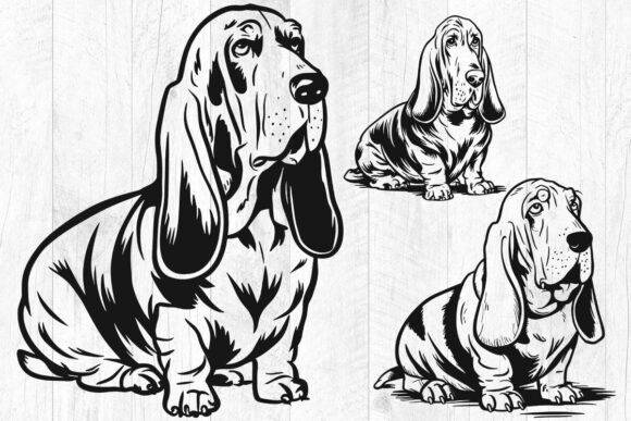 BASSSET HOUND Svg, Dog Svg Bundle Files