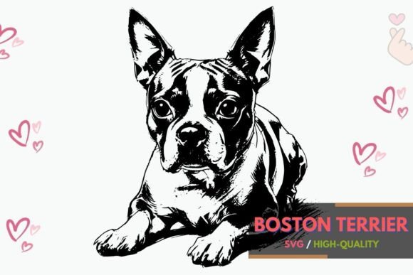 Cute Boston Terrier Dog SVG Clipart