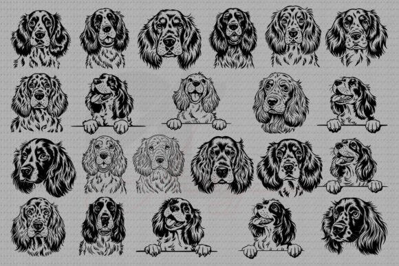 English Springer Spaniel Dog SVG Bundle Review