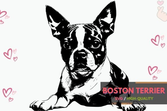 Funny Boston Terrier Dog SVG Clipart Review