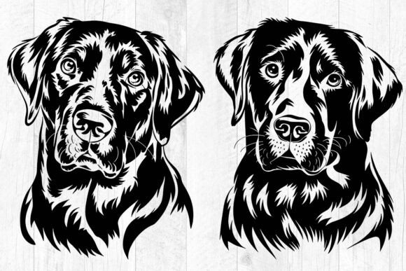 Labrador Retriever Svg, Dog Svg Files