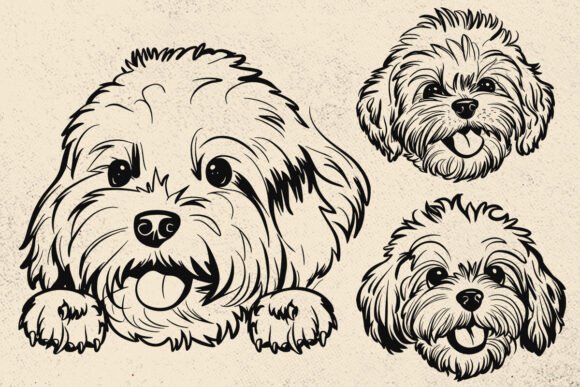 Maltese Svg, Dog Svg, Cute Dog Face Svg