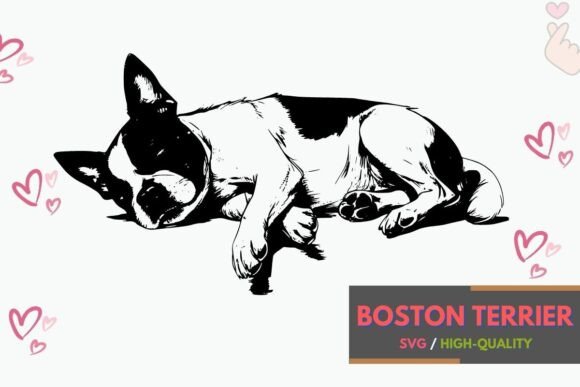 Relaxing Boston Terrier Dog SVG Clipart