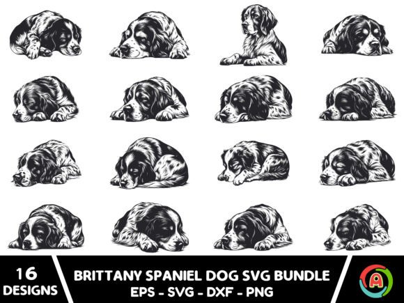 Sleeping Brittany Spaniel SVG Bundle Review
