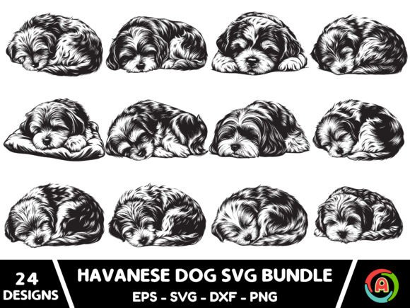 Sleeping Havanese Dog Svg Bundle: A Designer’s Review